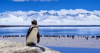 Ciekawostki dla dzieci o Antarktydzie