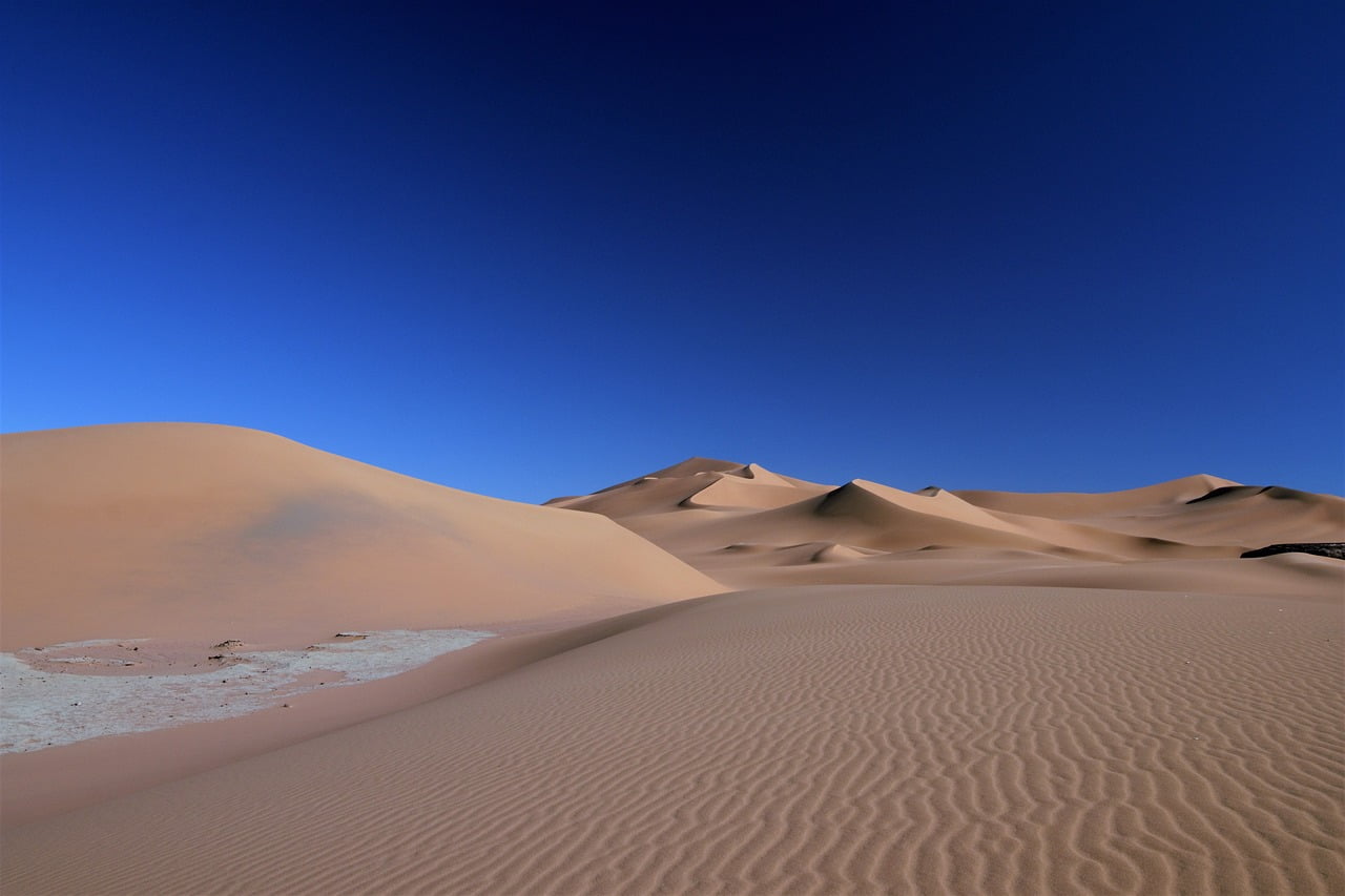10 interesujących ciekawostek o gorących pustyniach