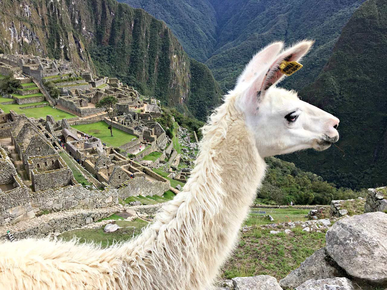 28 najlepszych ciekawostek o Peru