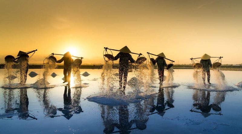 zbieranie soli w Wietnamie
