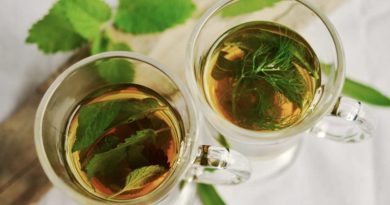 herbata zielona ciekawostki