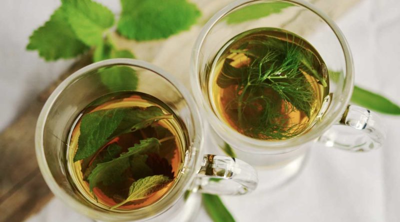 herbata zielona ciekawostki
