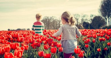 dziewczyny i tulipany