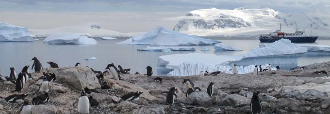 Najlepsze ciekawostki o Arktyce i Antarktydzie