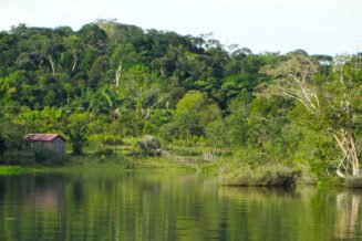 24 zaskakujące ciekawostki o Amazonce