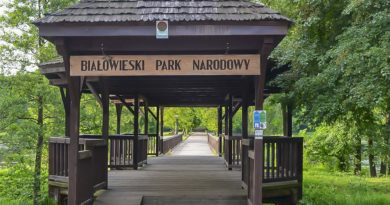 Białowieski park narodowy