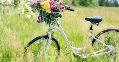 rower i łąka