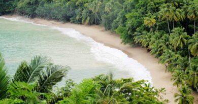 Plaża - Trinidad i Tobago