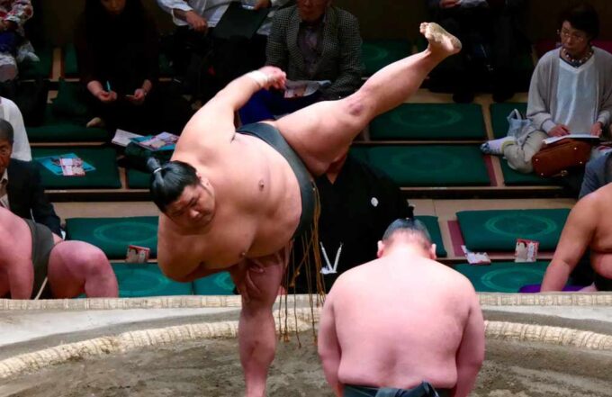 zawody sumo