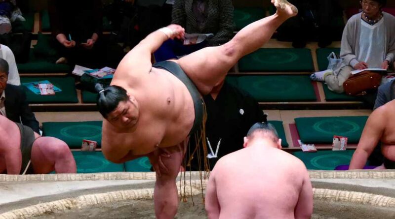 zawody sumo