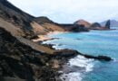 10 Fascynujących Atrakcji na Galapagos