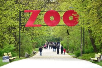 10 najlepszych Ogrodów Zoologicznych w Polsce