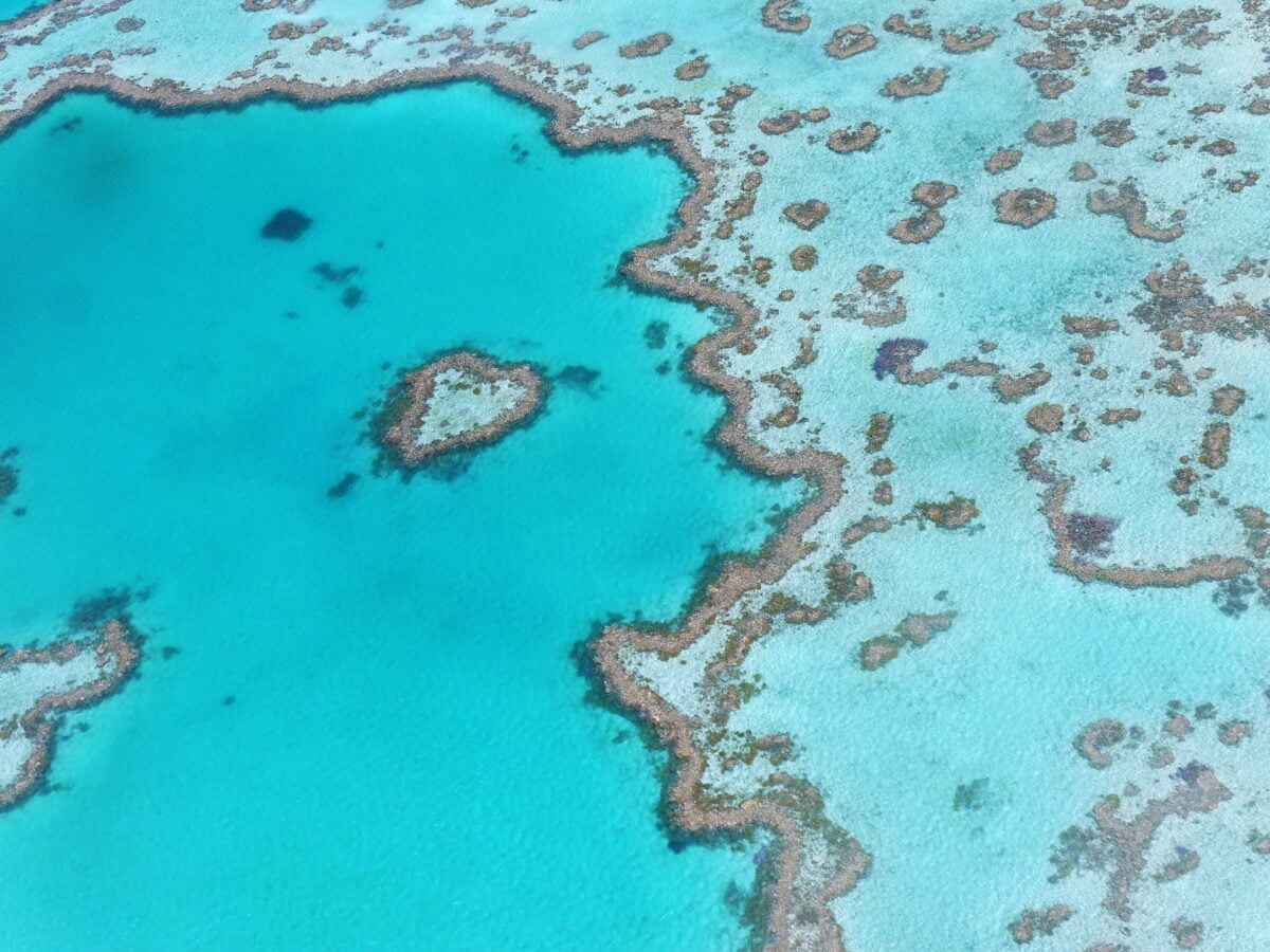 wielka rafa koralowa