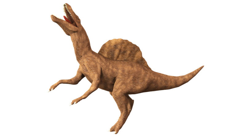 spinozaur