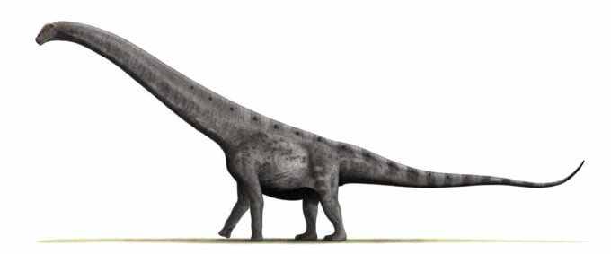 Argentynozaur