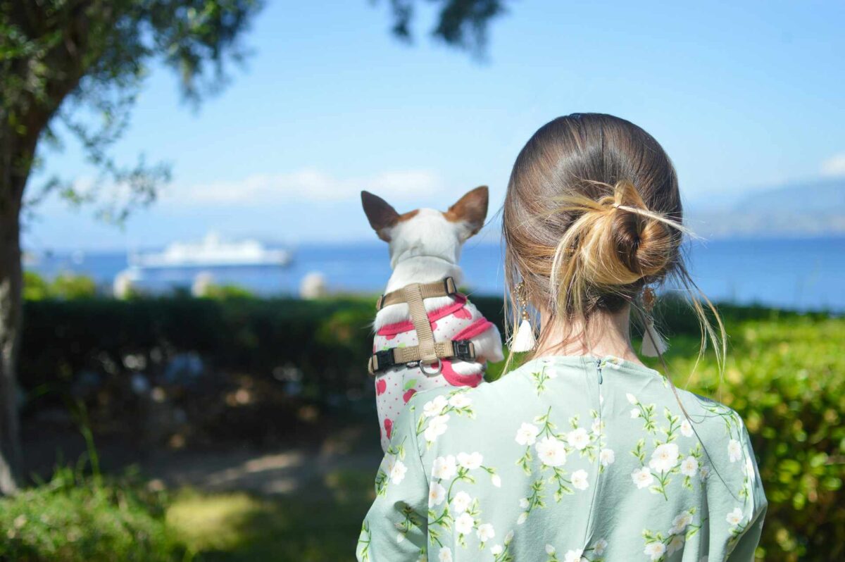 kobieta z małym psem na rękach, zdjęcie tyłem, patrzą na morze